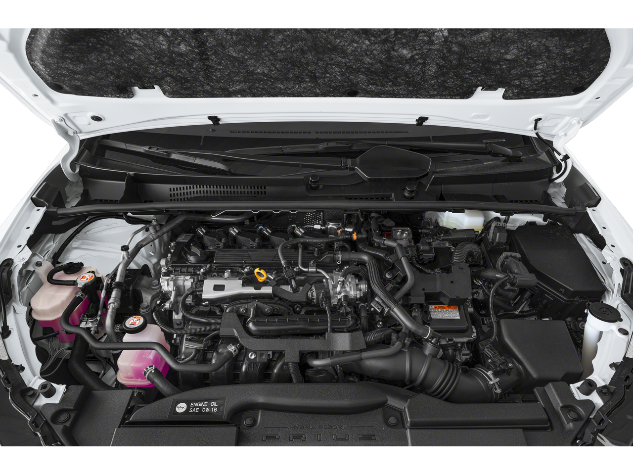 2024 Toyota Prius XLE