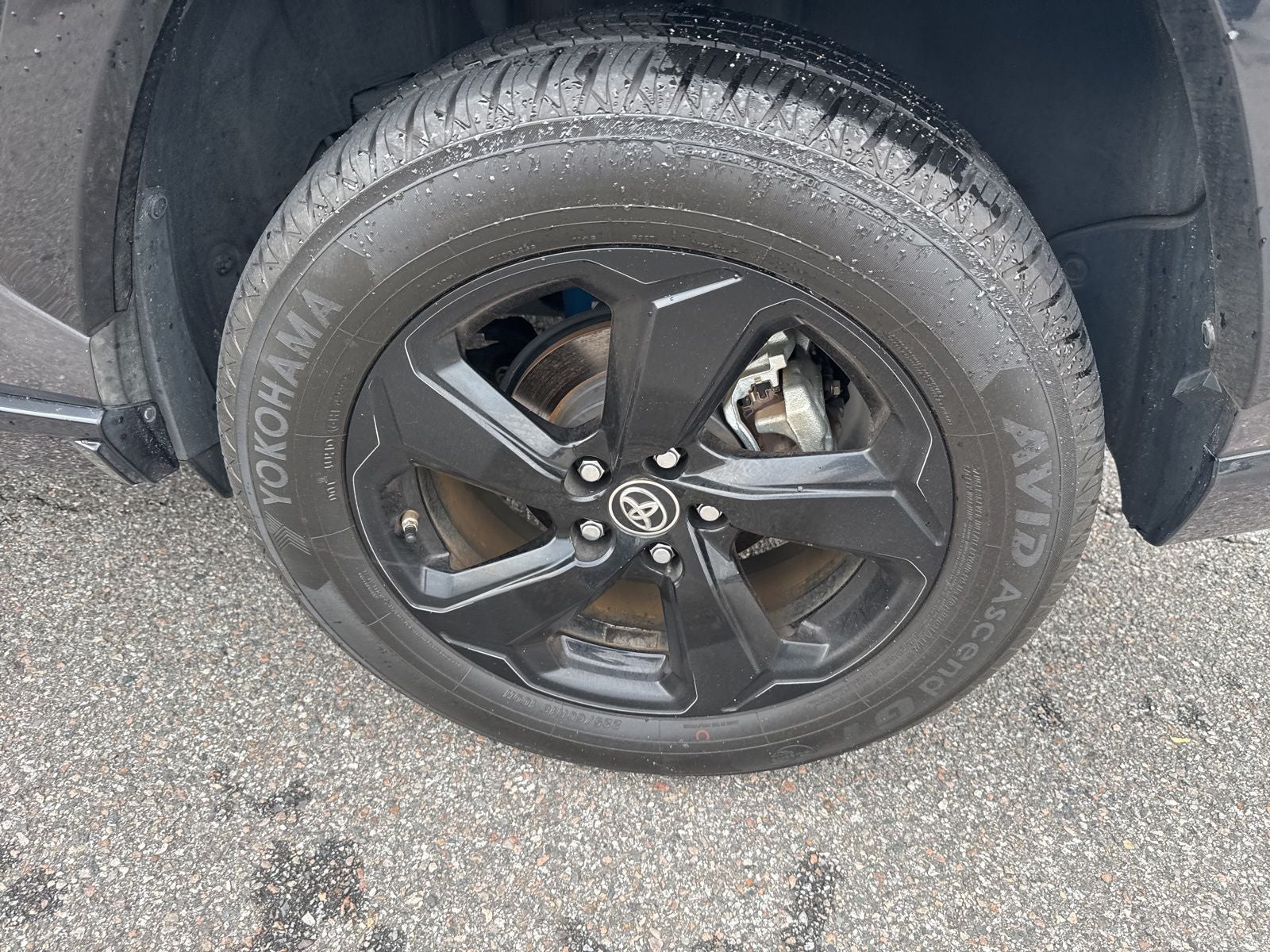 2019 Toyota RAV4 Hybrid XSE