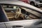2014 Mercedes-Benz CLS CLS 550 Base