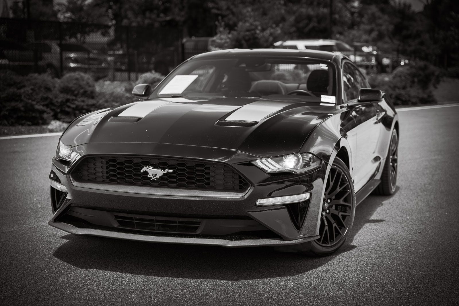 2021 Ford Mustang EcoBoost