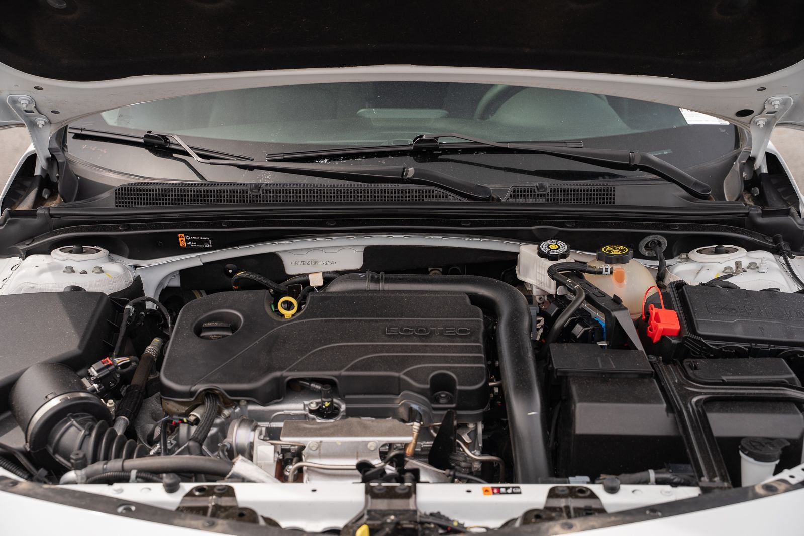 2023 Chevrolet Malibu LS 1FL