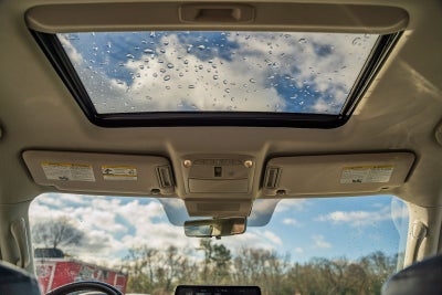 2023 INFINITI QX80 LUXE