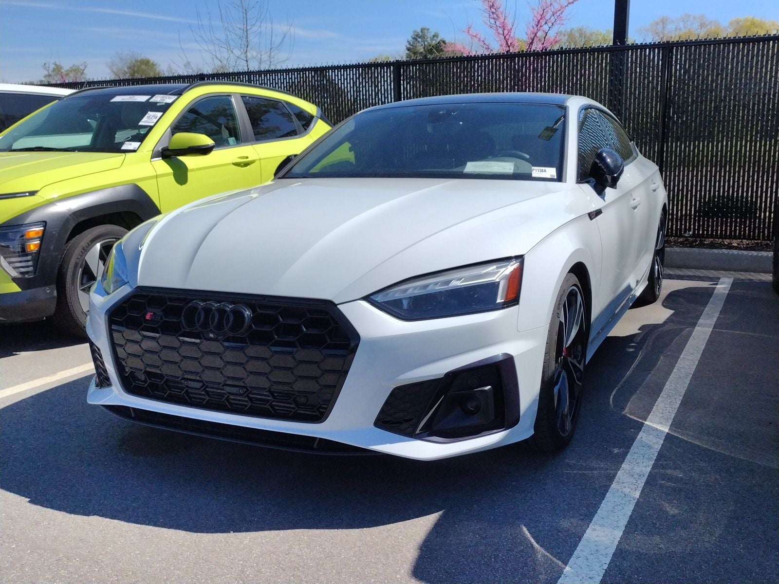 2023 Audi S5 Sportback Premium Plus quattro