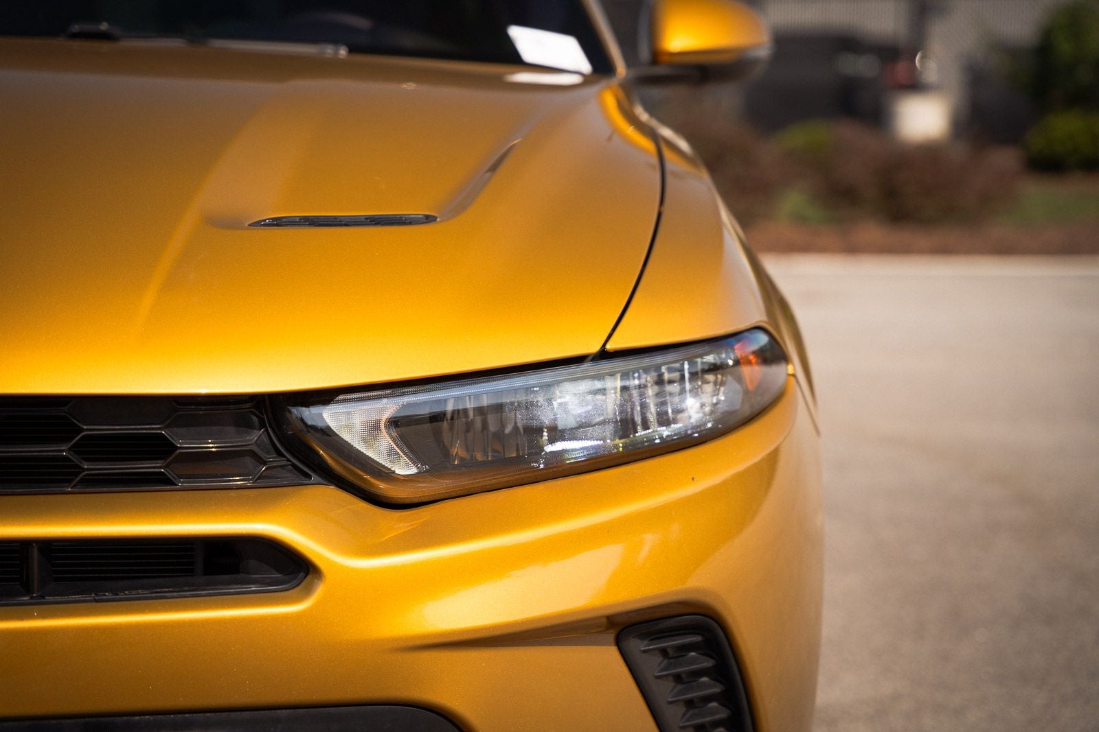 2024 Dodge Hornet R/T