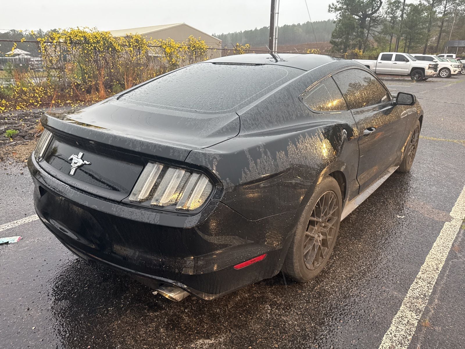 2015 Ford Mustang V6