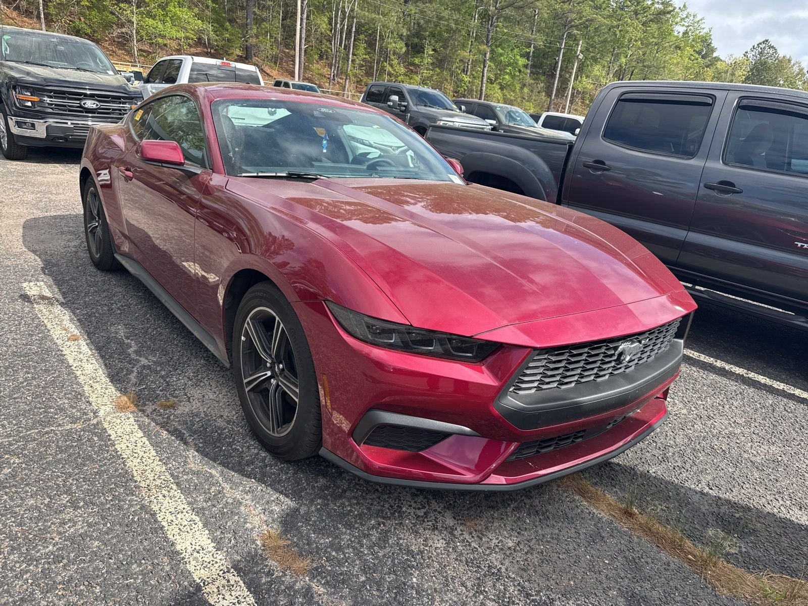 2025 Ford Mustang EcoBoost