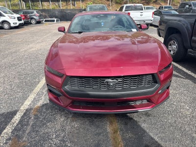 2025 Ford Mustang EcoBoost