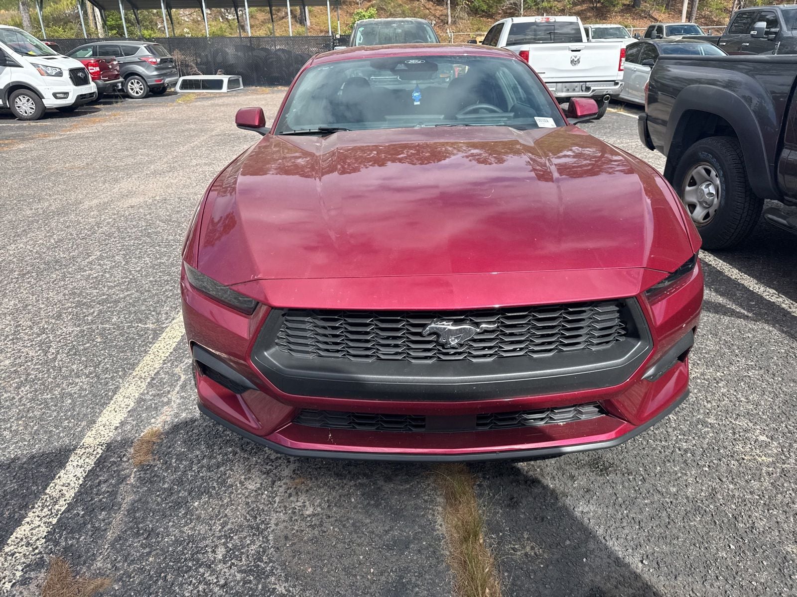 2025 Ford Mustang EcoBoost