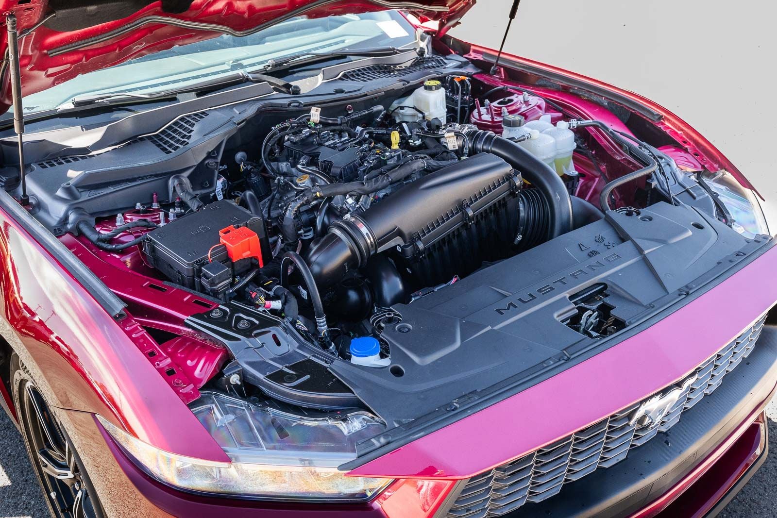 2025 Ford Mustang EcoBoost