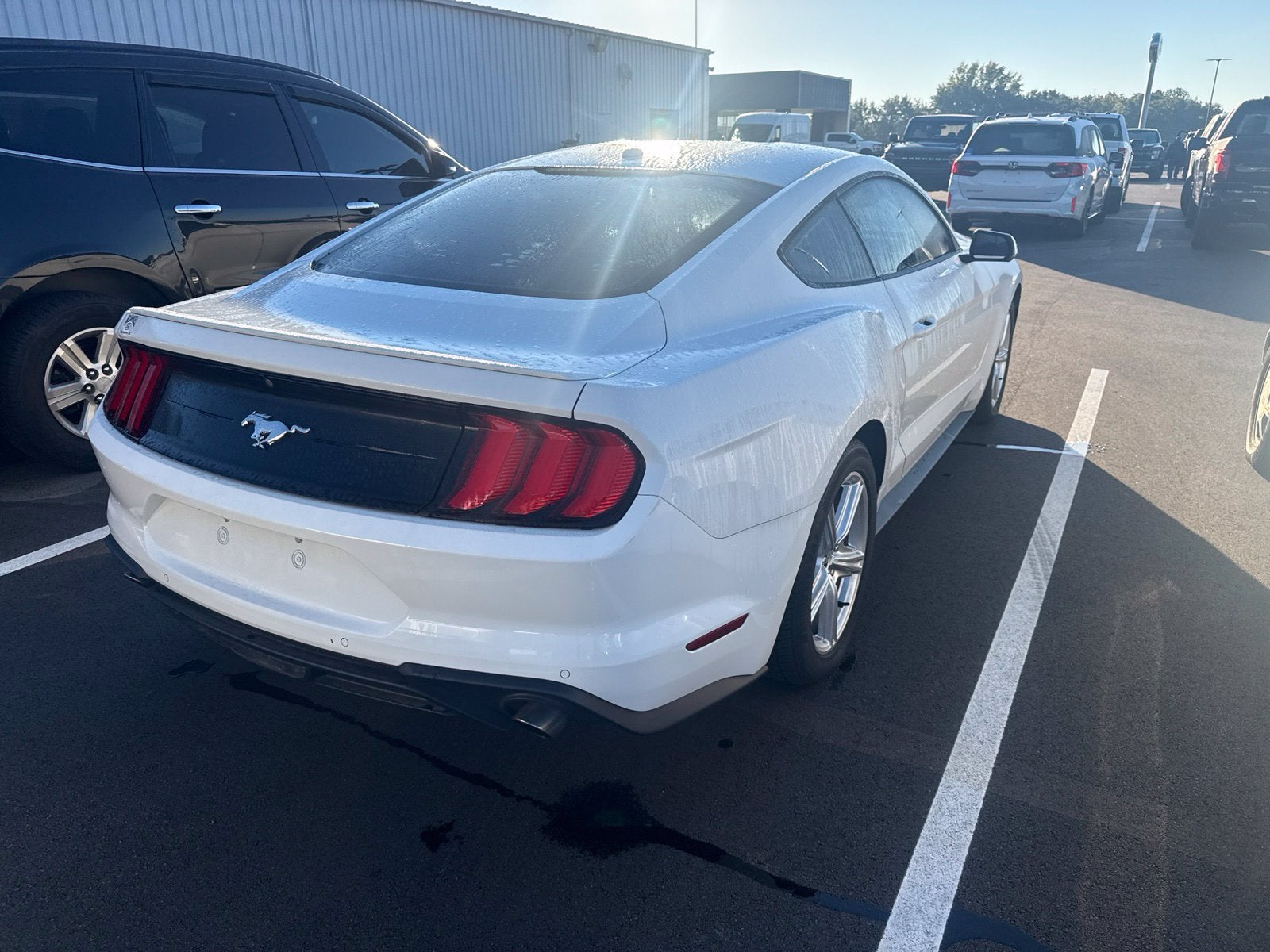 2019 Ford Mustang EcoBoost Premium