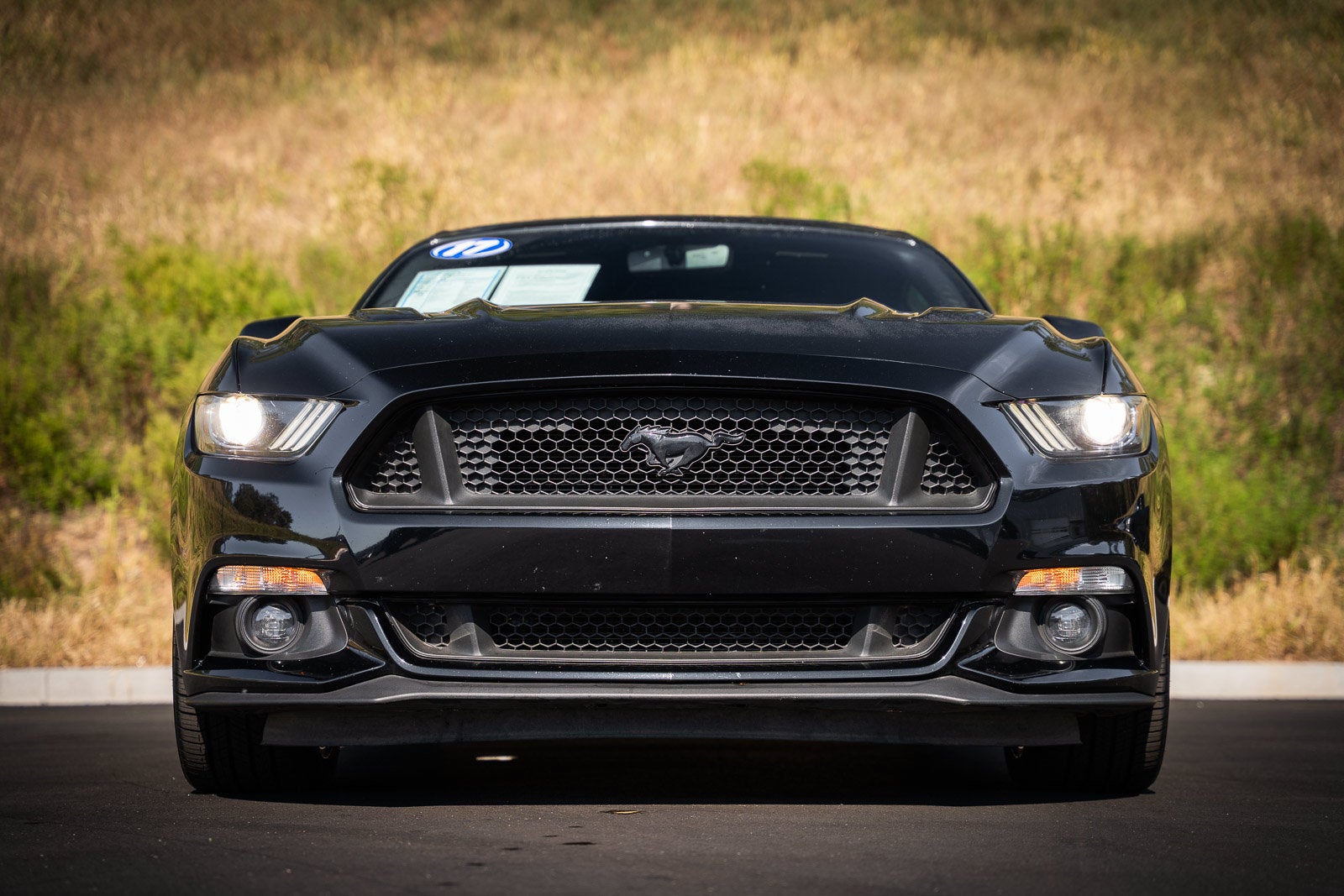2017 Ford Mustang GT Premium