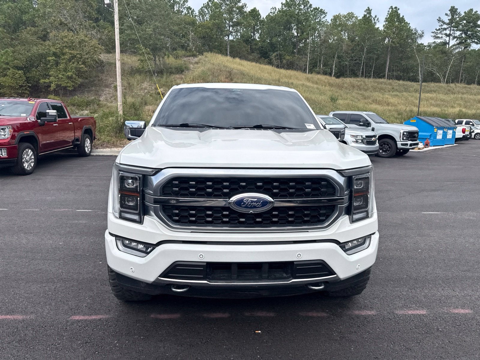 2021 Ford F-150 Platinum