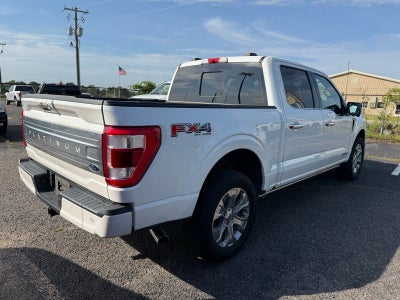 2021 Ford F-150 Platinum