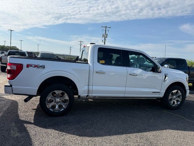 2021 Ford F-150 Platinum