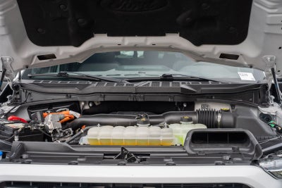 2023 Ford F-150 XLT Sherrod