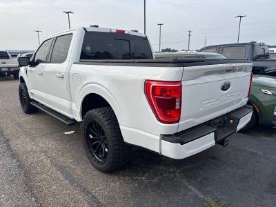 2023 Ford F-150 XLT Sherrod