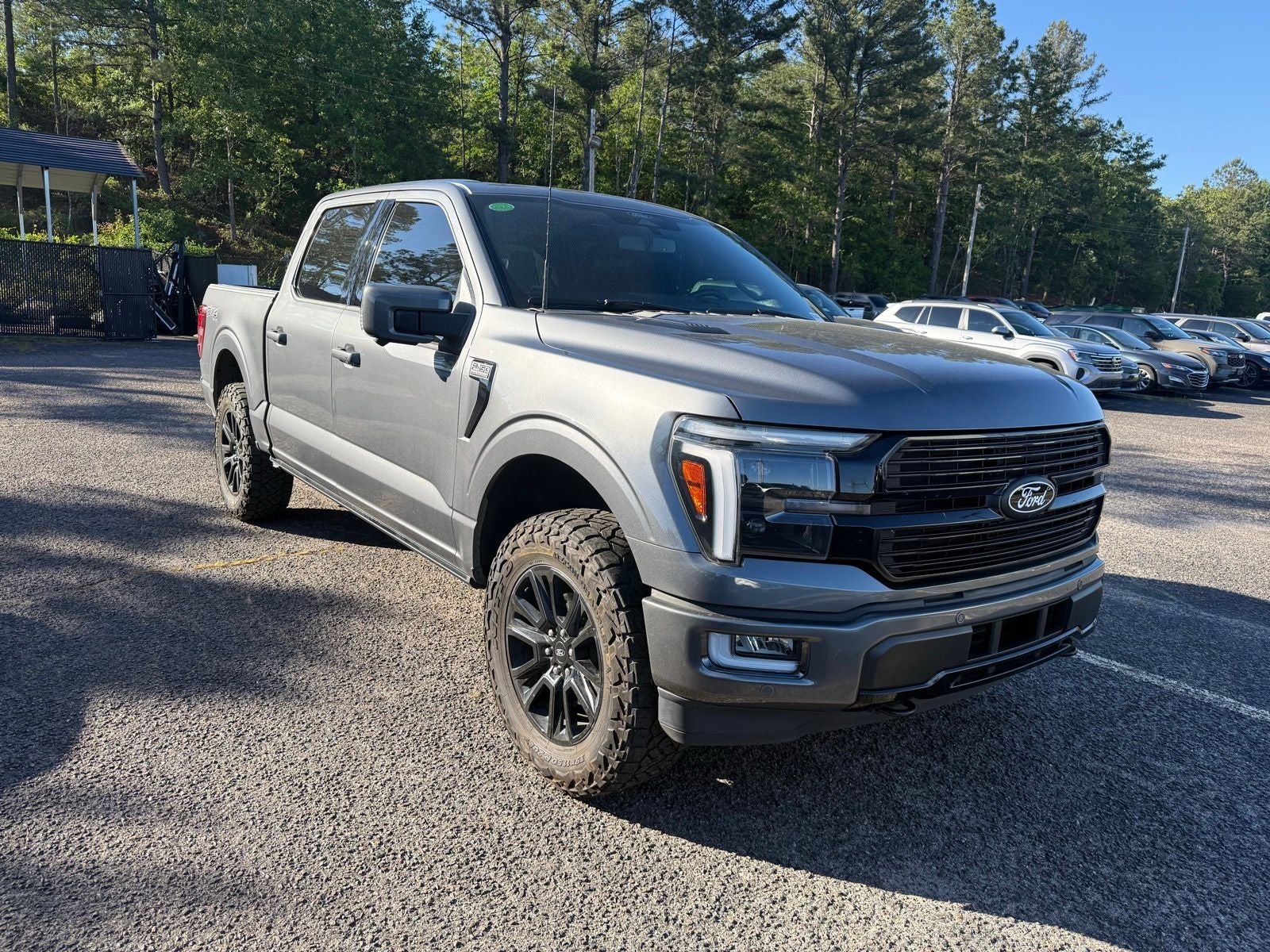 2024 Ford F-150 Platinum