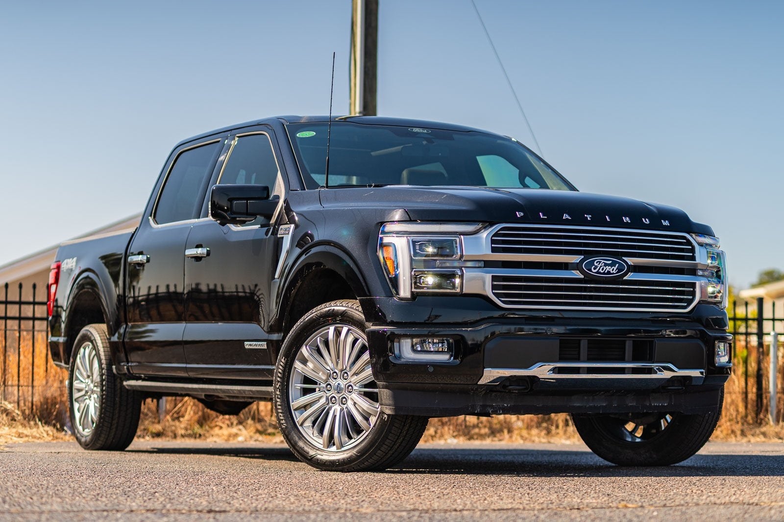 2025 Ford F-150 Platinum
