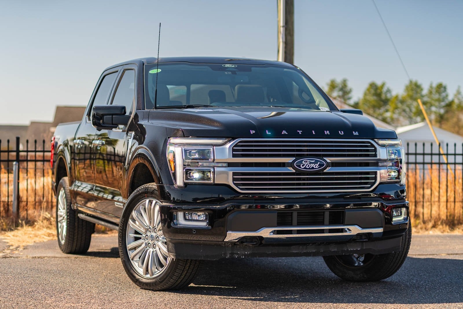 2025 Ford F-150 Platinum