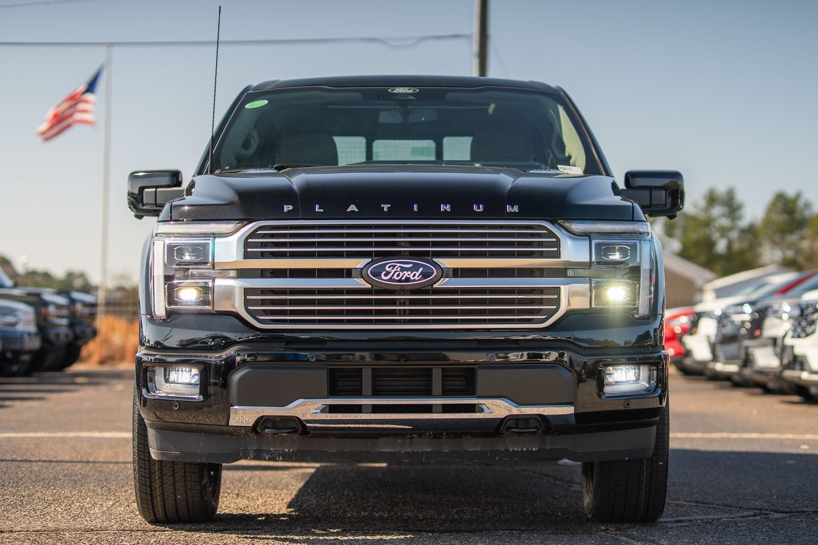 2025 Ford F-150 Platinum