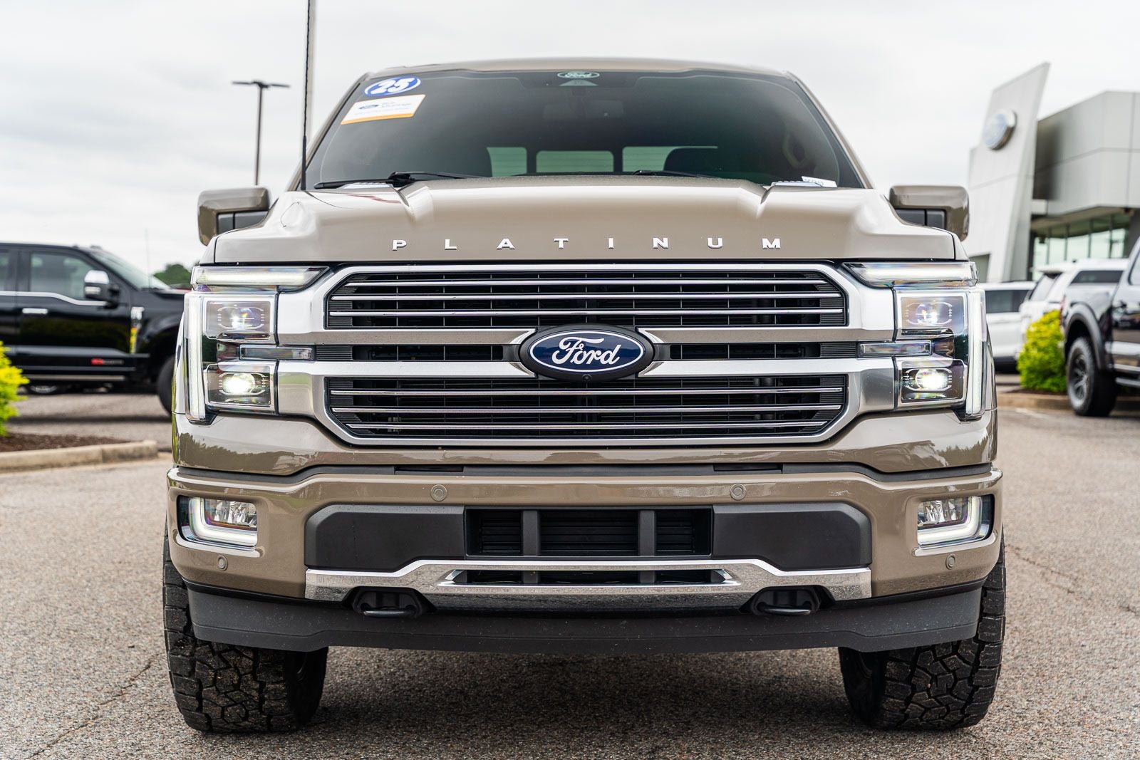 2025 Ford F-150 Platinum