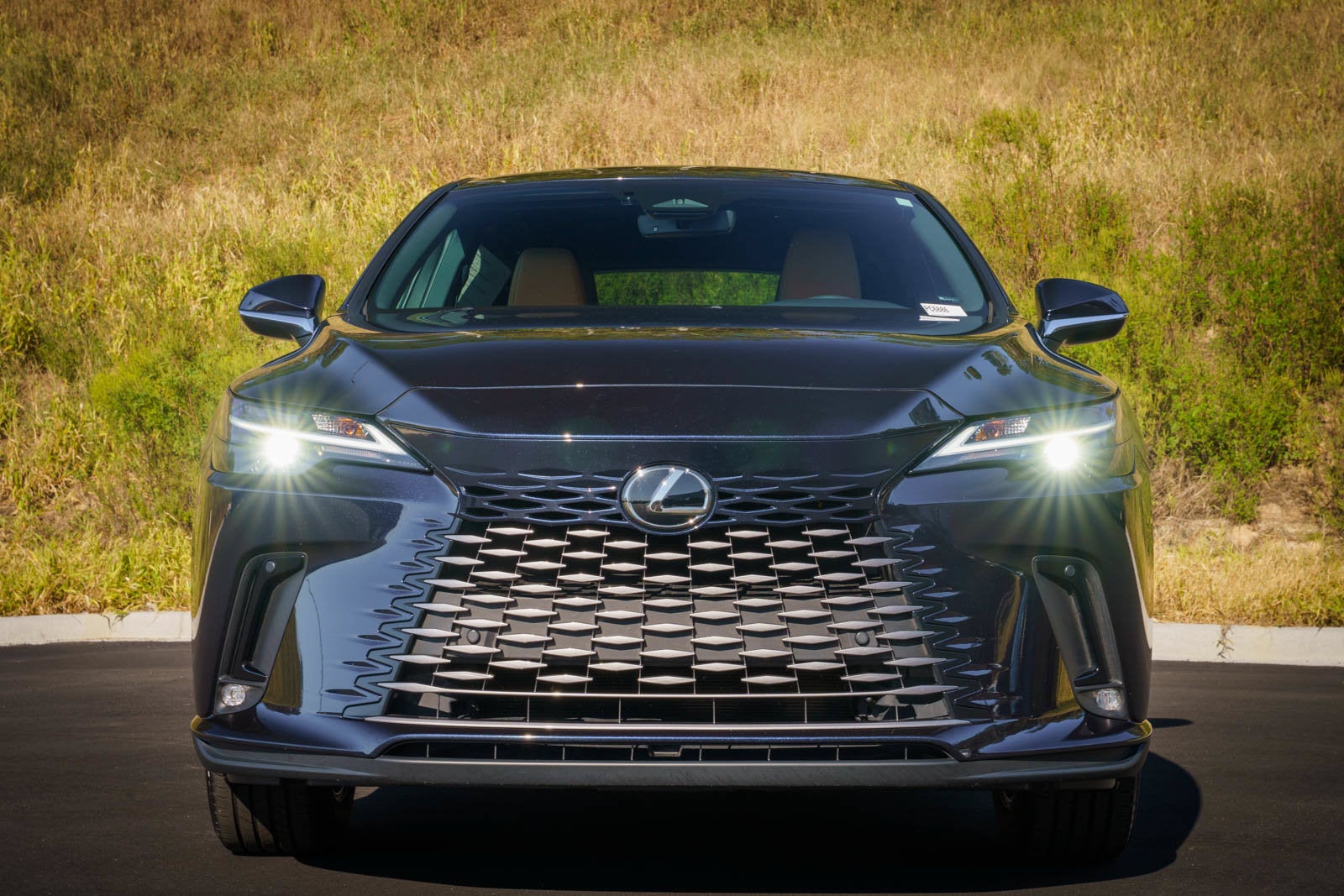 2025 Lexus RX 350
