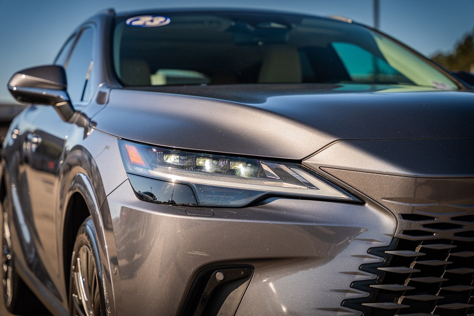 2023 Lexus RX SERIES