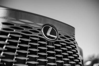 2023 Lexus RX SERIES