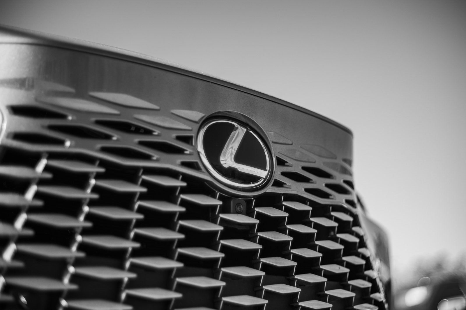 2023 Lexus RX SERIES