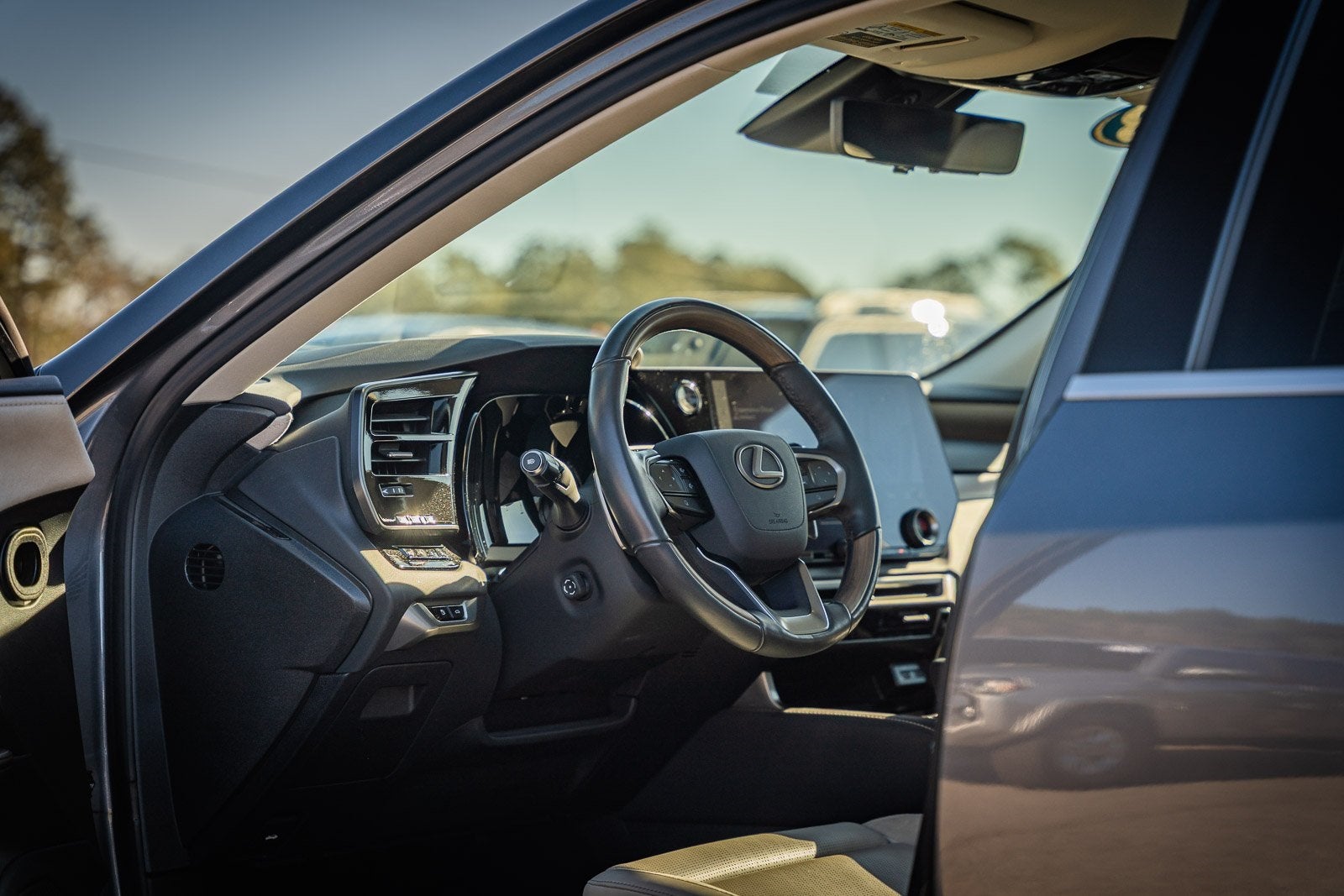 2023 Lexus RX SERIES