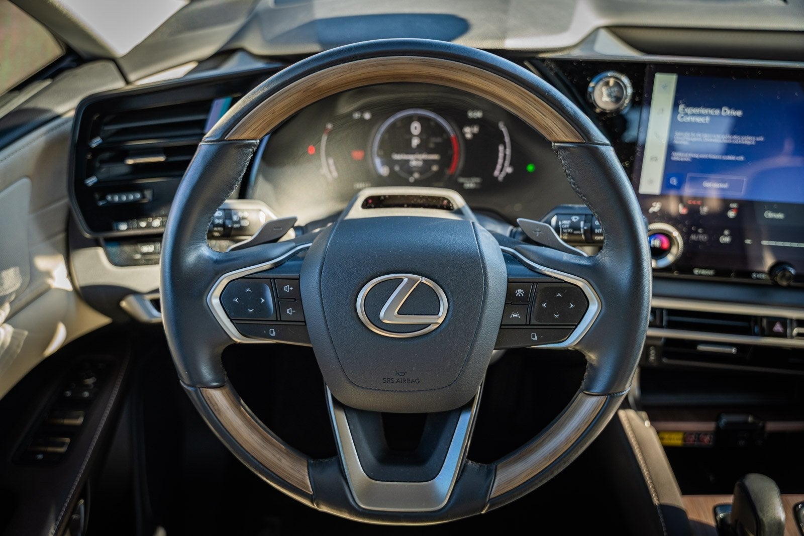 2023 Lexus RX SERIES