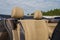 2014 Volkswagen Beetle 1.8T