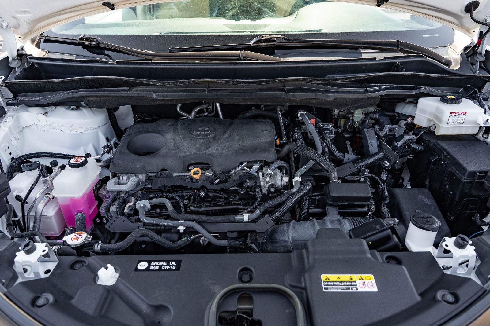 2022 Toyota Sienna XLE 7 Passenger